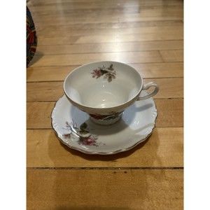 Moss Rose Demitasse cup and saucer set  Made in Japan